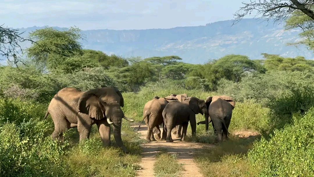 Rimoi National Reserve