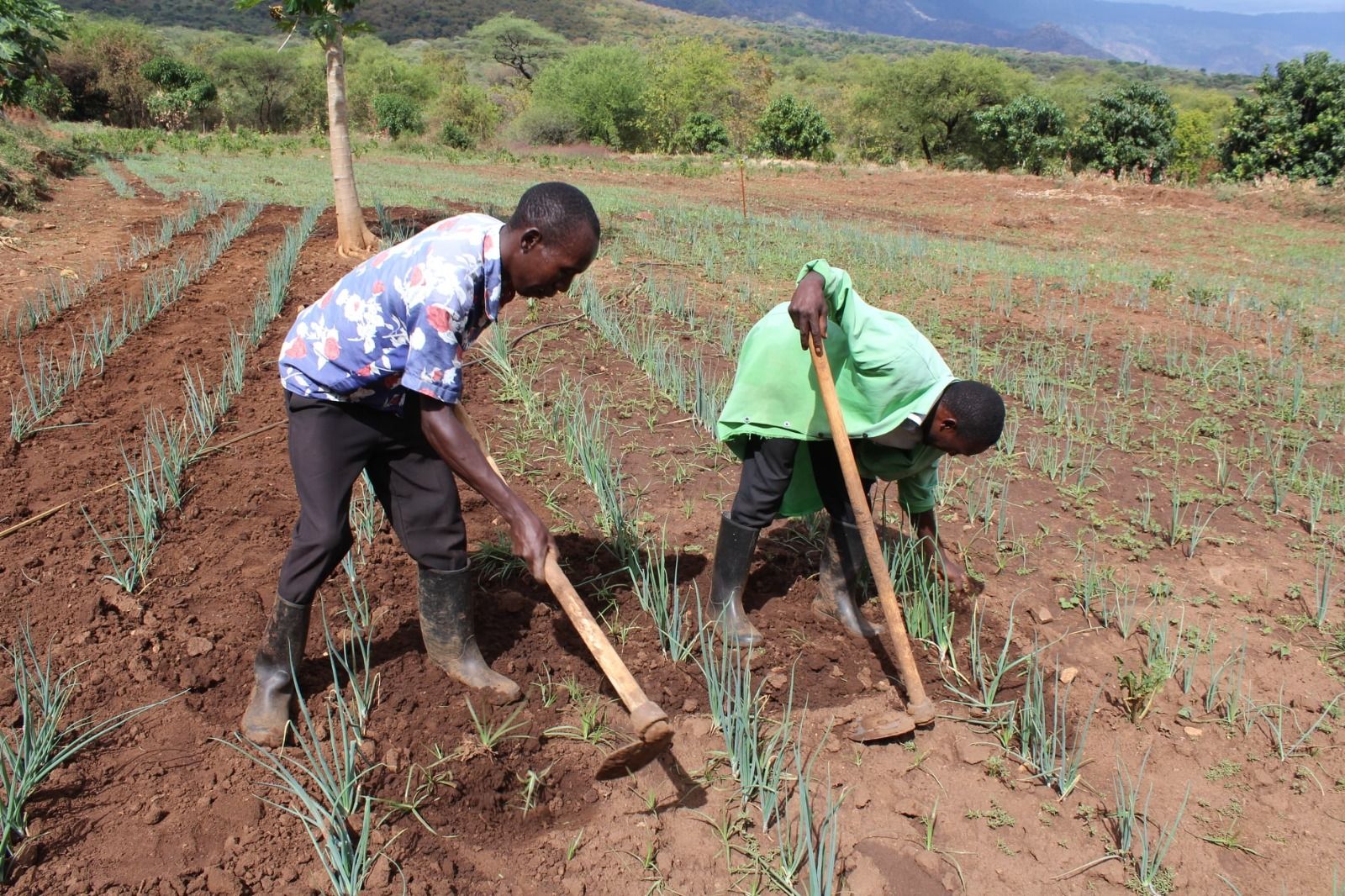 Farming God's Way