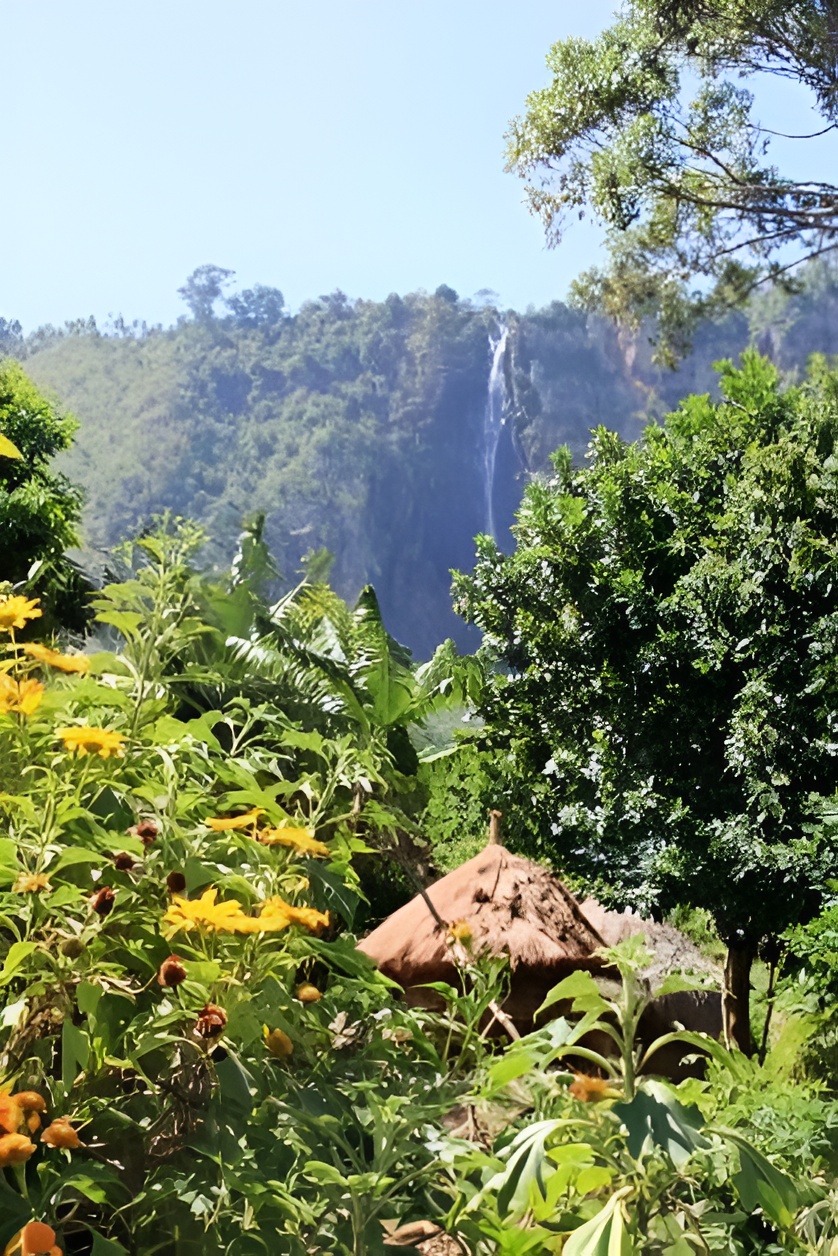 Birds of Kerio Valley