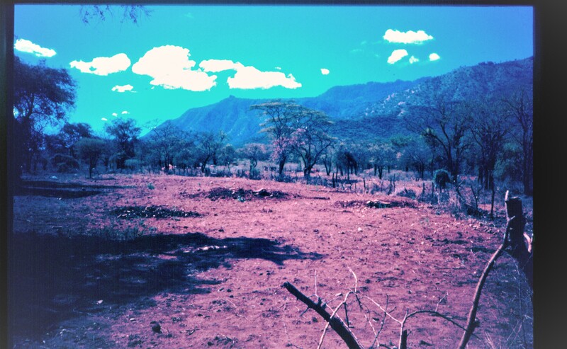 Traditional dairy farming in the Kerio Valley